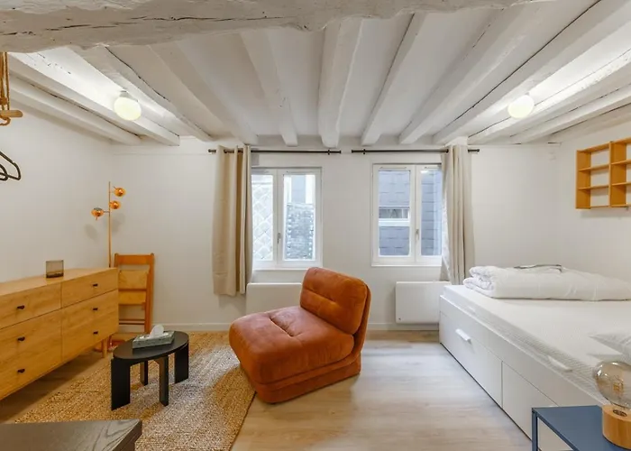 Apartamento Centre Historique - Le Beauvoisin - Wifi